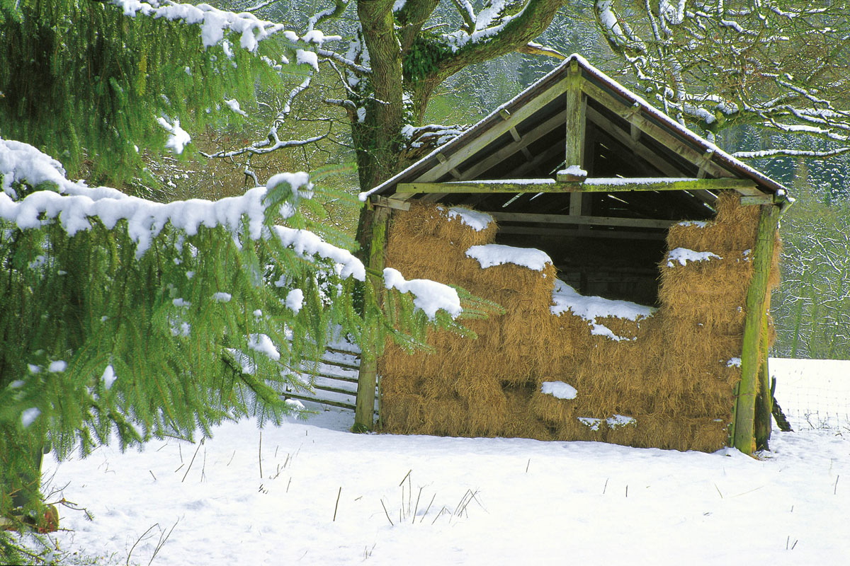 A barn near Bala