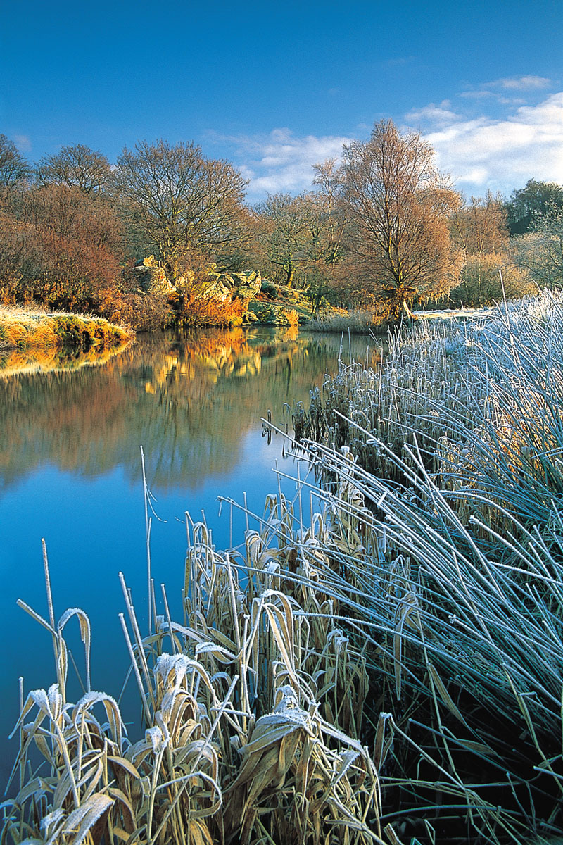 The Afon Lledr