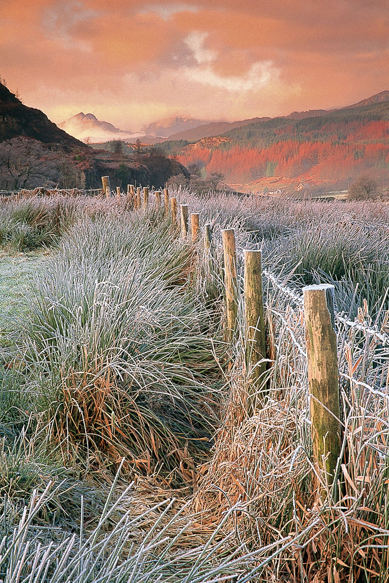 Frosty dawn