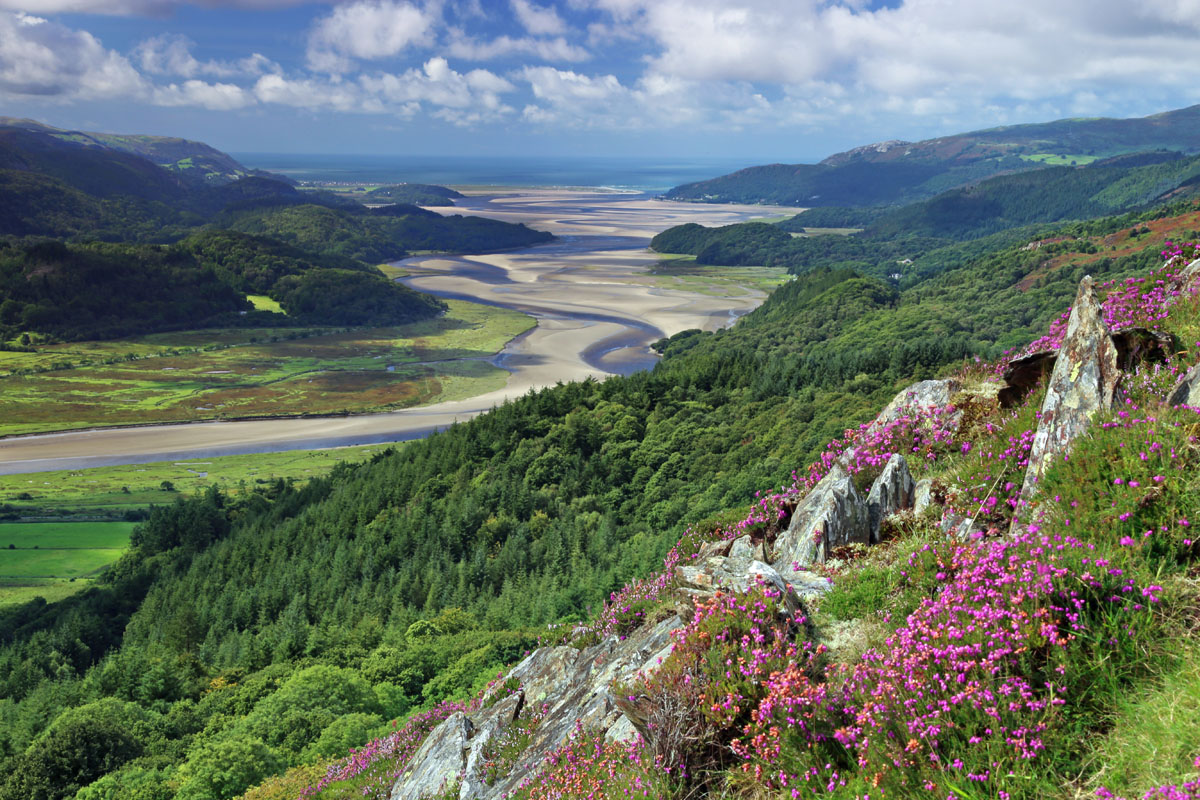 The Mawddach Estuary