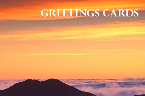 card-greetings
