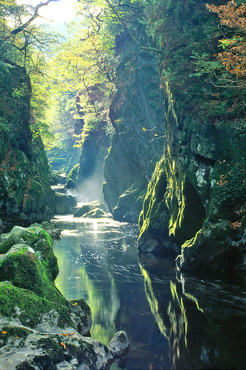 The Fairy Glen